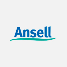 Logo Ansel Brasil