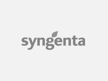 Cliente Afixcode - Logo Syngenta