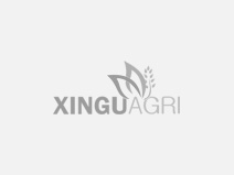 Cliente Afixcode - Logo Xingu Agrícola