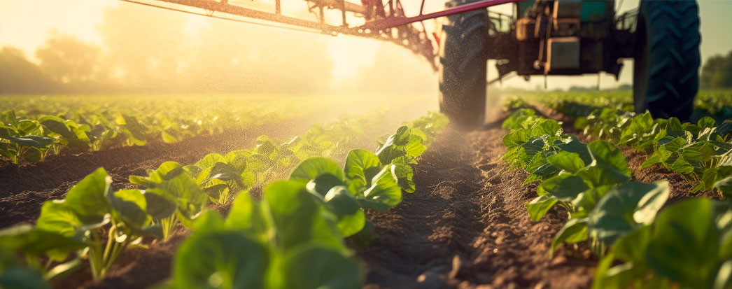 campo de plantas em estagio de crescimento como ativo biologico